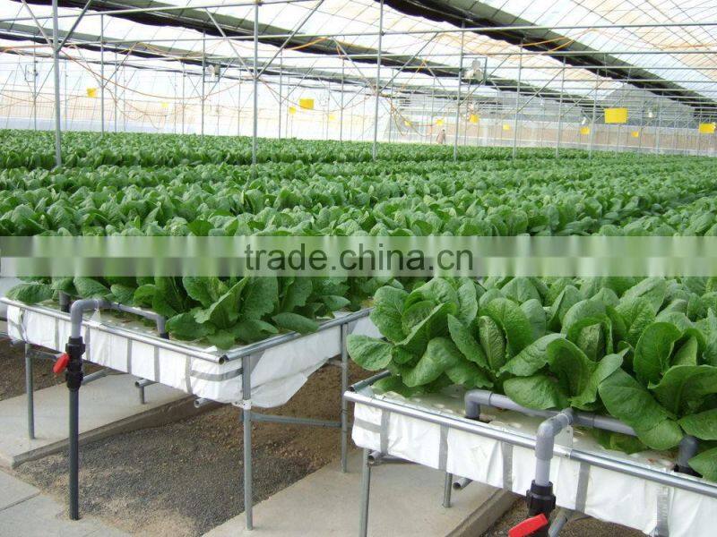 DELUXE Natural fine river sand at COMPETITIVE PRICE