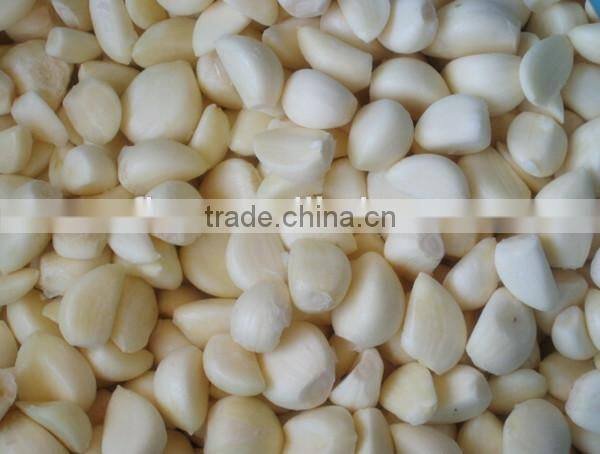 best price for garlic ginger grinding machine