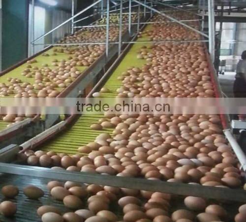 small farm equipment automatic battery chicken cage