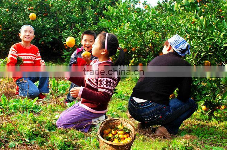 Neweek agricultural garden orchard spraying machine