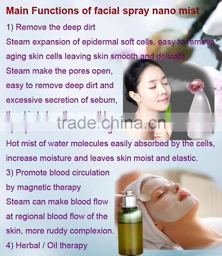 Nano Facial Handy mist Mini Humidifier Facial Spraying factory price