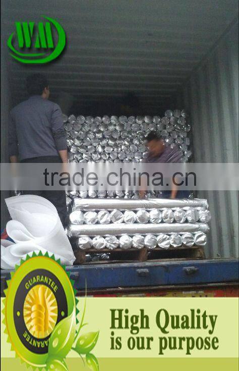 White Polypropylene-scrim-kraft facing