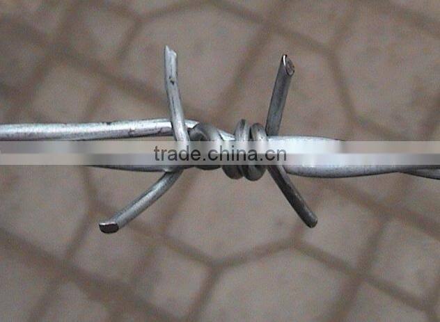 Double Twisted Barbed Wire (factory)