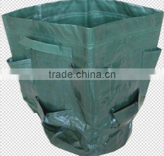PE Green Herb Grow Bag,Herb Planter With Pockets