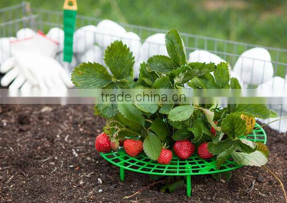 strawberry support 5pc/set