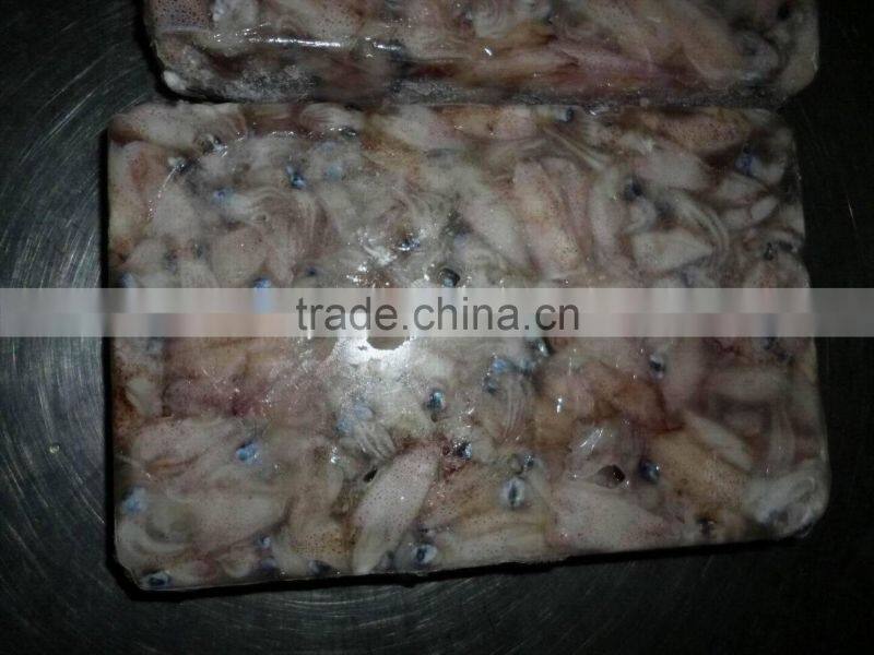 frozen baby squid