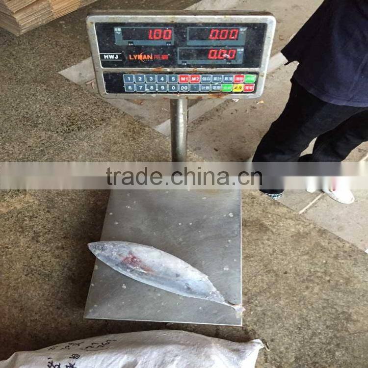 whole frozen bonito fish bonito whole frozen 750G up