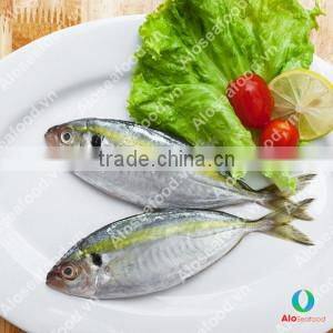 SCAD: ROUND/ LAYANG/ YELLOW TAIL/ YELLOWSTRIPE/ BIG EYES