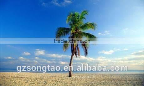 90% similation hot market price of artificial outdoor fake coconut palm tree decoration