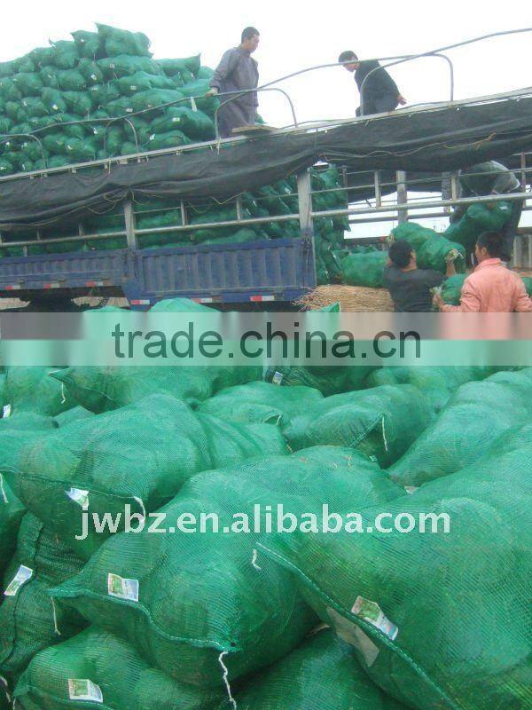 fruit vegetable pp mesh bag