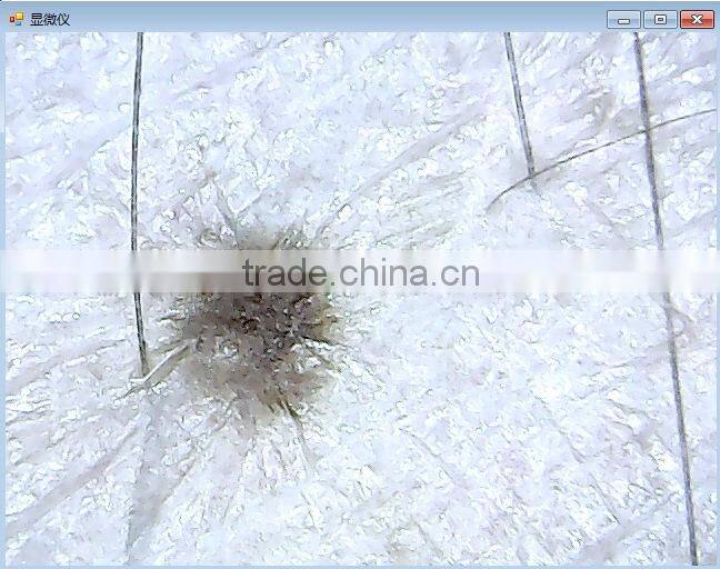 400X USB Digital Microscope 8 LED Magnifier Camera for qc skin industrial jewellery biological