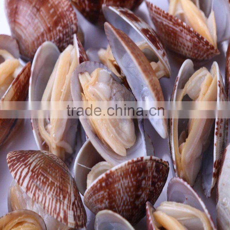 Frozen Cooked Short Necked Clam