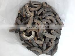 LOWEST PRICE AND HIGH QUALITY DRIED SEA CUCUMBERS