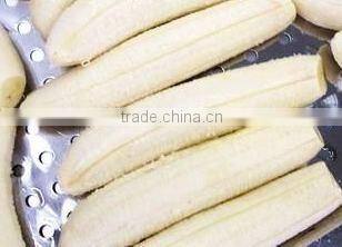 VIETNAM FRESH CAVENDISH BANANA