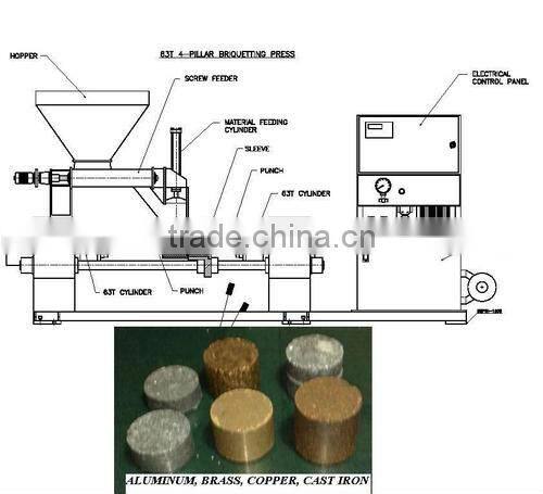 Professional Briquette Machine Manufacturer from Shanghai Lipu