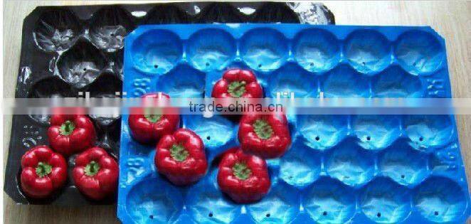 pp pvc ps pe fruit trays, colorful fruit plate