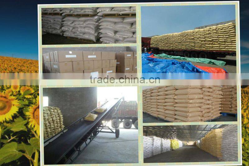 High Quality Wholesale Shine Skin Pumpkin Seeds