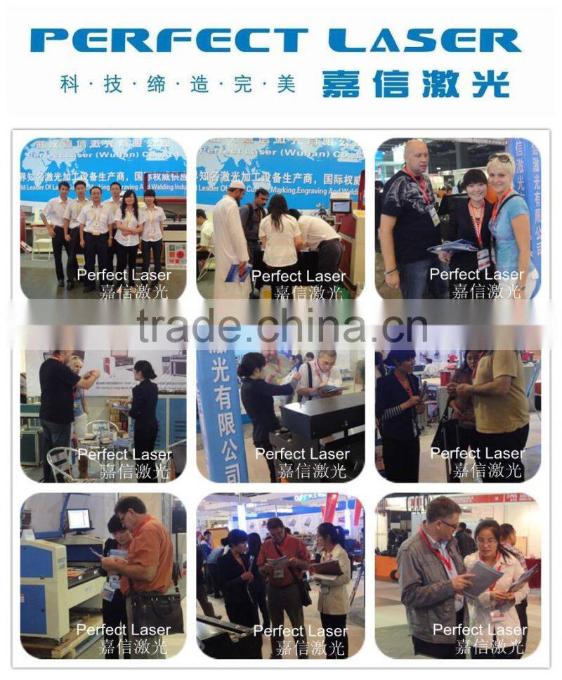 Perfect Laser PEDB-C60 60W Co2 Laser Marking Machine