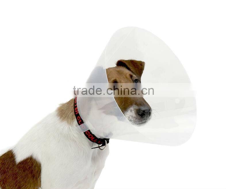 Nice Useful Most Popular Veterinary Elizabeth Collar for Dogs Injection