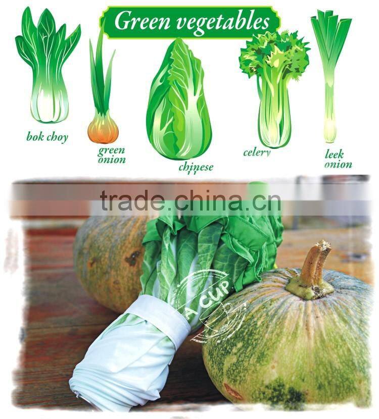 Hot Sell Cabbage Umbrella Sun And Rain Folding Unique Umbrella Cabbage Shape Umbrella