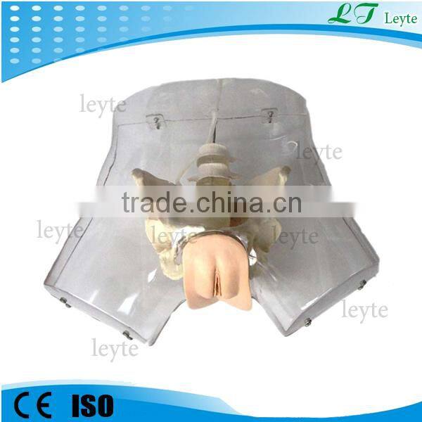 XC-408F Transparent Female Urethral Catheterization Simulator model