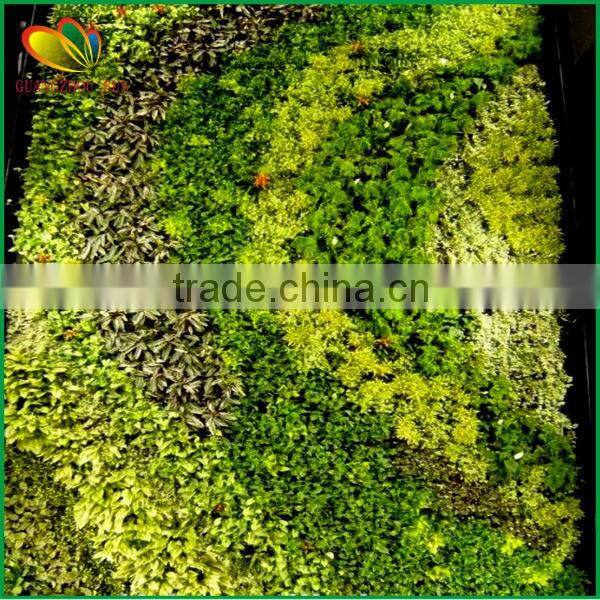 latest design artificial green wall plants