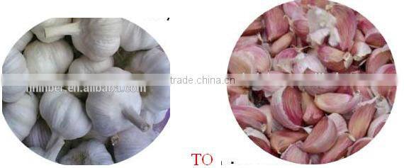 INGS-400 hot sale garlic separating machine with ISO