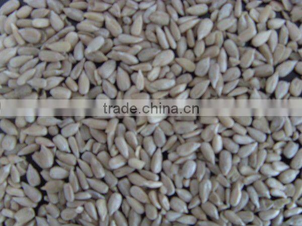 bakery and confectioanry sunflower seed kernels ,2015 new crop