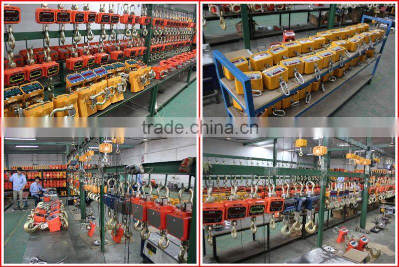 1ton electronic OCS-M15 crane scale