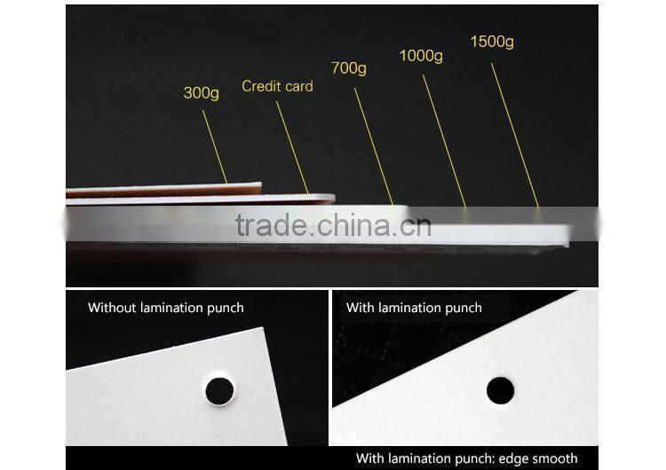 Cheapest price for paper garment hang tag with string