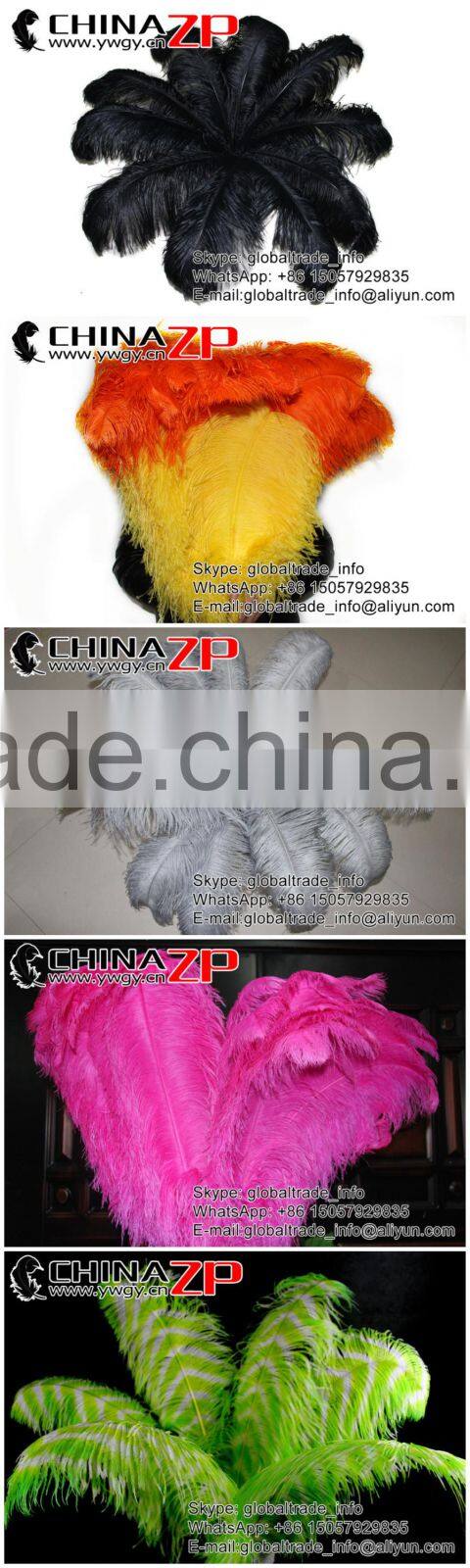 ZPDECOR No.1 Supplier in China Size From 6''-8'' Factory Exporting Popular Dyed MIx Colors Ostrich Feathers Plume for Decoration