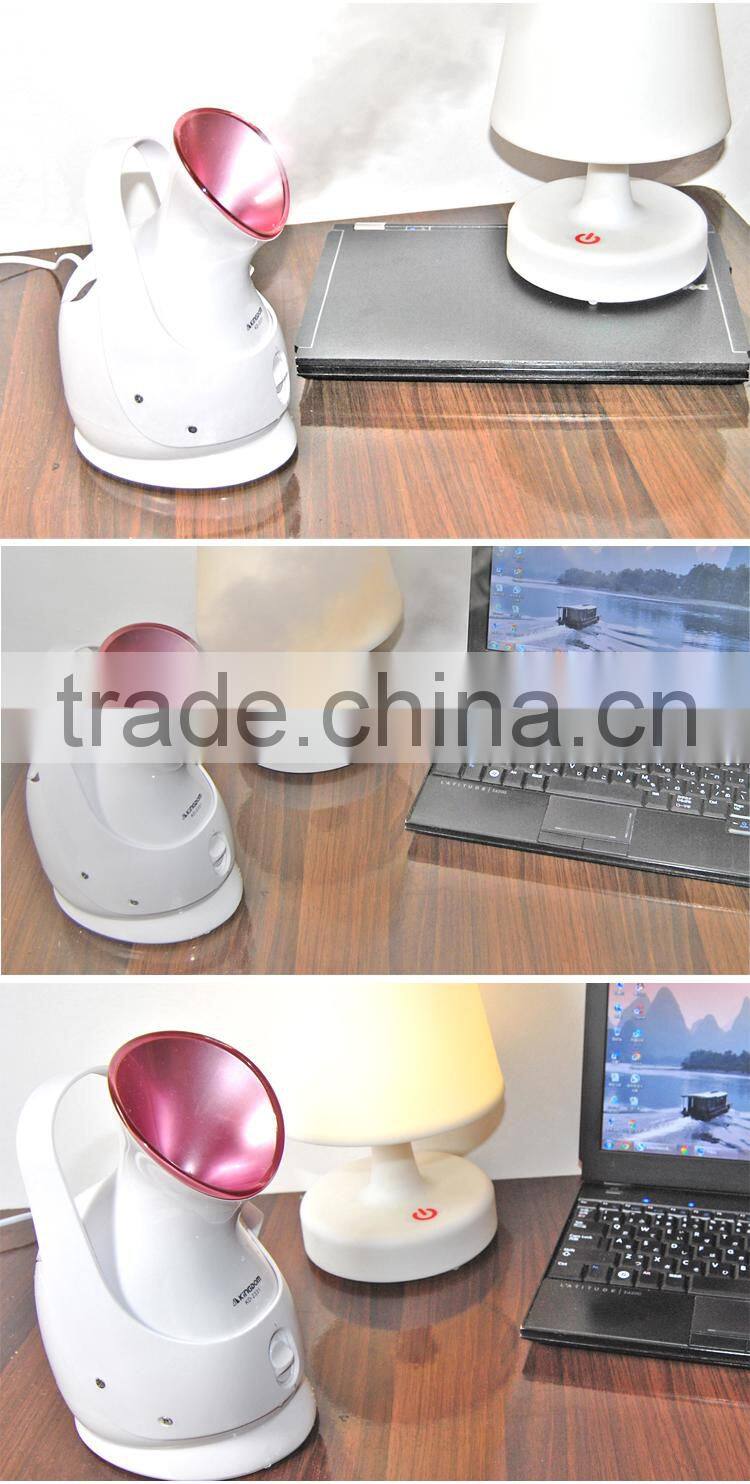 face and hair steamer for women