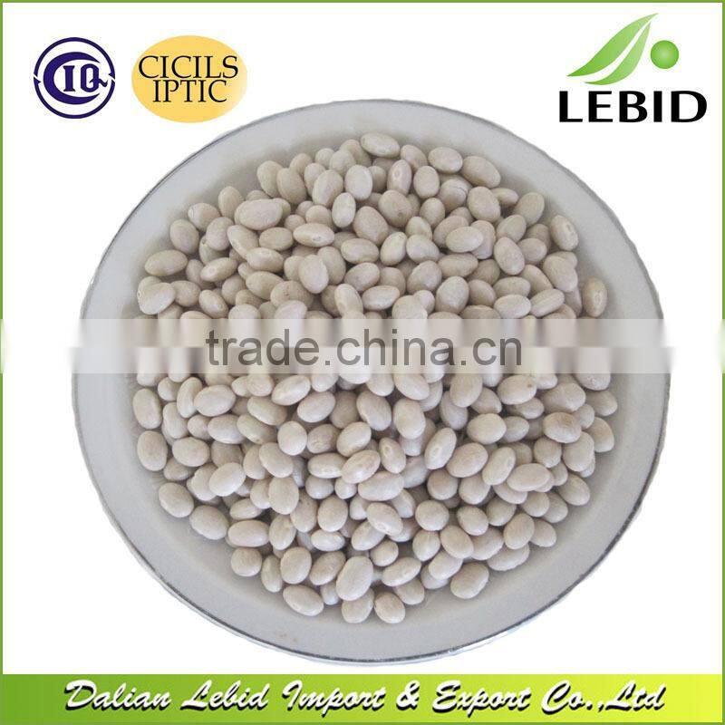2016 new crop small round shape white navy beans