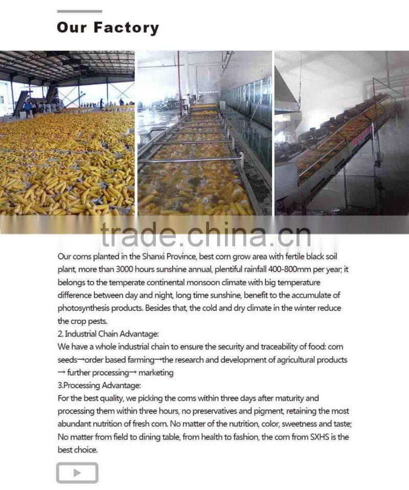 Non gmo frozen yellow corn market price