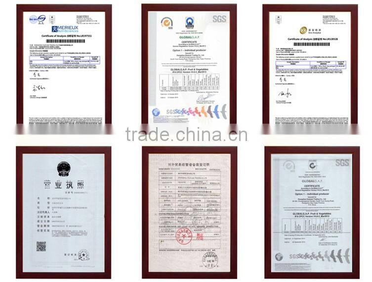 2015 fresh pomelo for sale