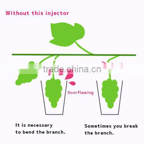 Gibberellin treatment tool for making Grape juice from Seedless Grapes
