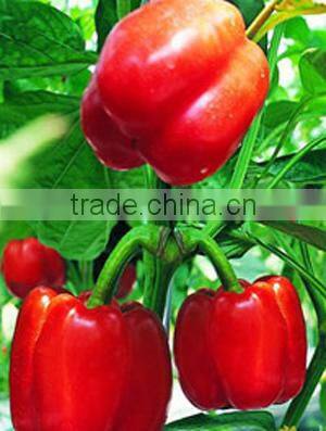 hot sell artificial vegetable,artificial pepper,home and office decoration chilli
