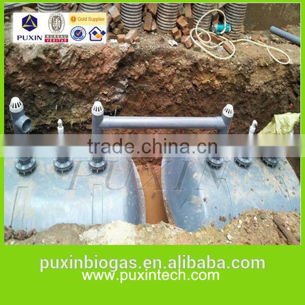 PUXIN biogas plant /machine /systems price for sewage water purifier