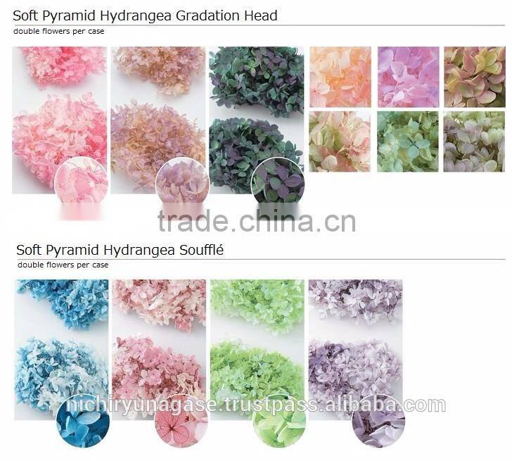 Pretty and Cute real touch hydrangea preserved flowers with various species