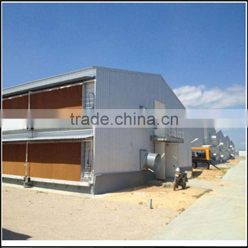 Industrial shed steel structure building design poultry farm shed chicken house for layers