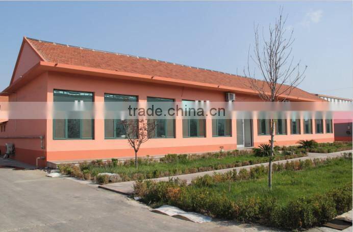 Chinese factory cheep price top brand tyre sks-1 10-16.5 12-16.5 14-17.5 skid steer tyre