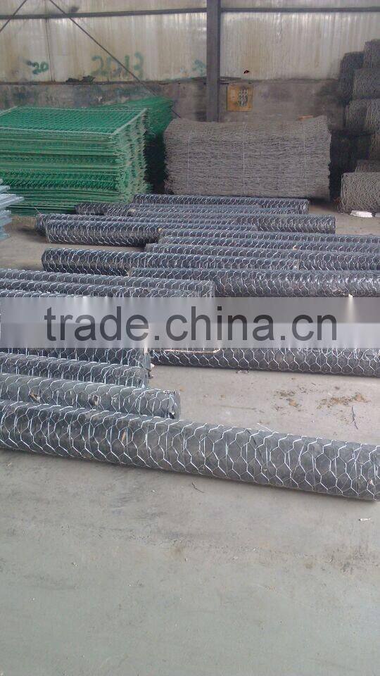 chicken fencing duck fencing mesh/hexagonal double twisted wire mesh