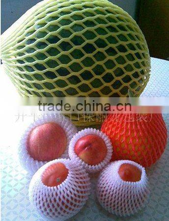 PE Foam Net Extrusion Line(FS-75)