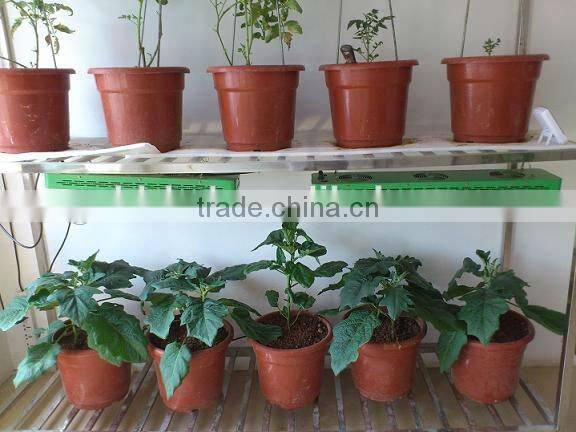 Growth bloom switches 300w led plant grow light