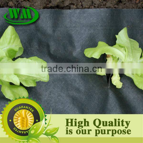 control cover Weed Mats