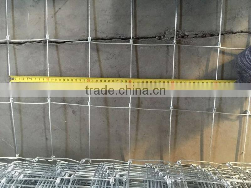 Italian big Lowes galvanized cattle panels livestock fence