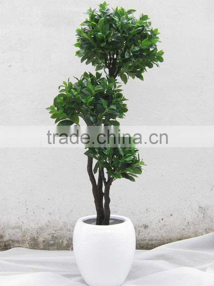 China hot sale evergreen fake money tree ,artificial Pachira
