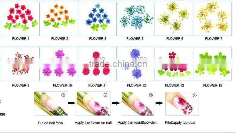 Acrylic nippers and cuticle