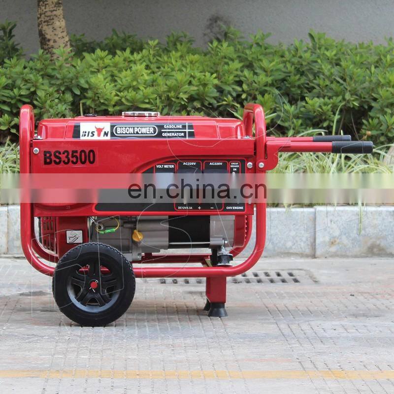 BISON China Taizhou BS3000E 60hz Frequency Chinese Portable Generators Left Crank Case 2.5kw 220v Gasoline Generator