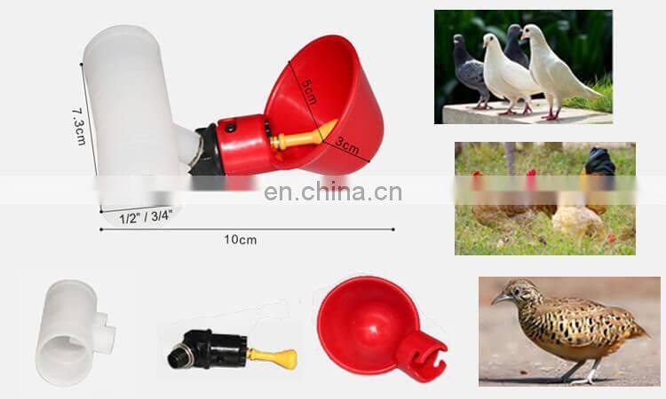 pigeons water bowl pigeon quail bird drinkers cup